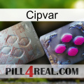 Cipvar 38